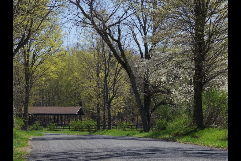 Spring Comes to Upstate New York