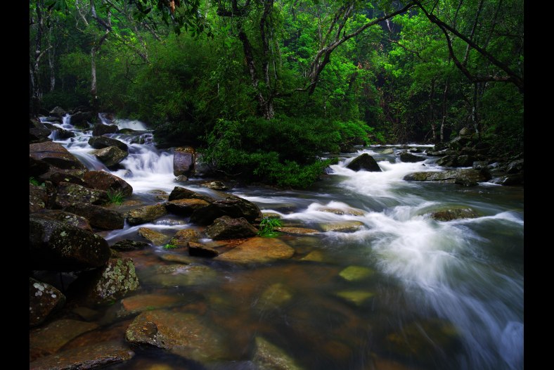 Stream