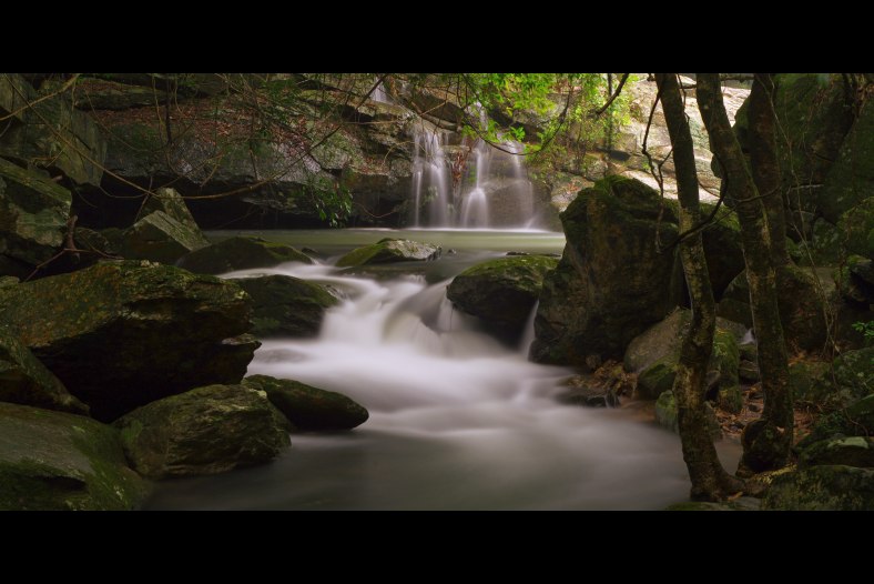 Stream