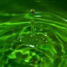 Goccia verde / Green Drop