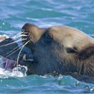 'Getting Lunch'