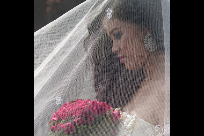 Veiled Roses