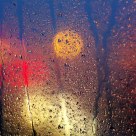 the rain