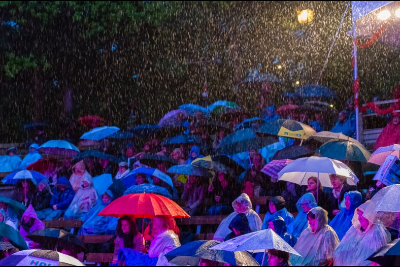 CABRIO - Registration Mrs Einstein - Raining cats and dogs...