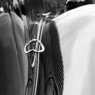 Curve