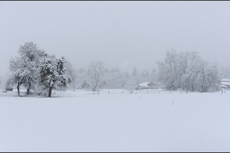Snowy day