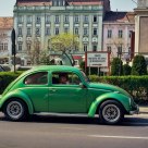 Green Metal Beetle