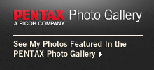 See my photos featured in the PENTAX Photogallery